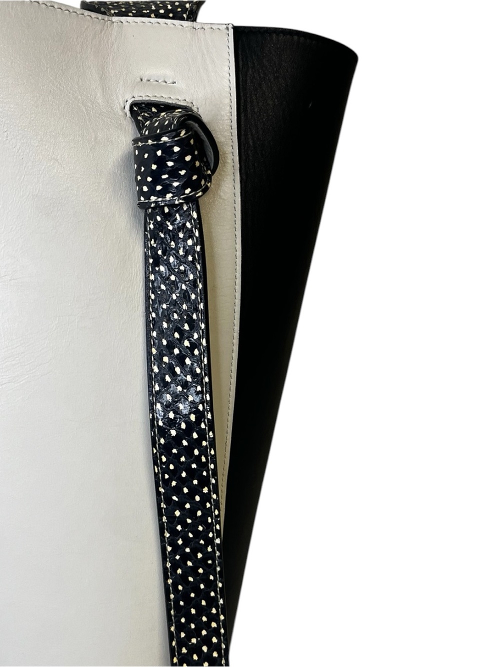 Celine Twisted Cabas Phython Tote - Picture 6 of 6